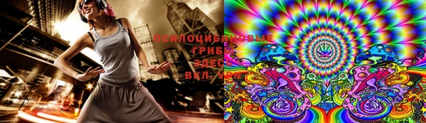 гидропоника Долгопрудный