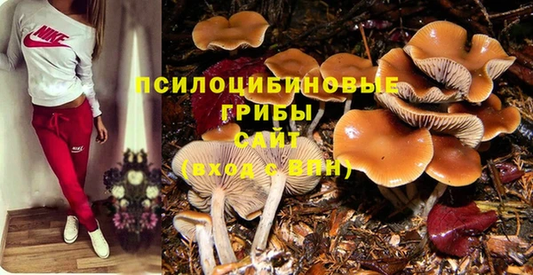 гидропоника Краснотурьинск