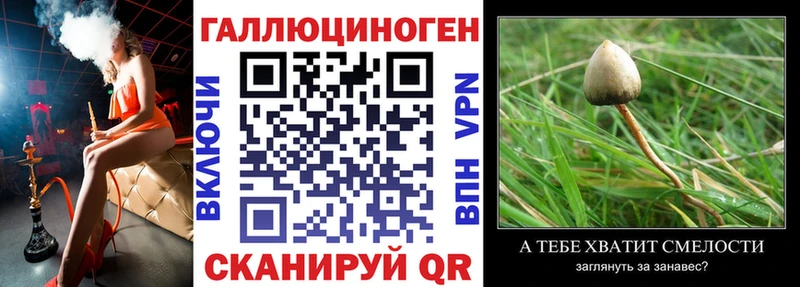 дарнет шоп  omg маркетплейс  Псилоцибиновые грибы прущие грибы  Таштагол 